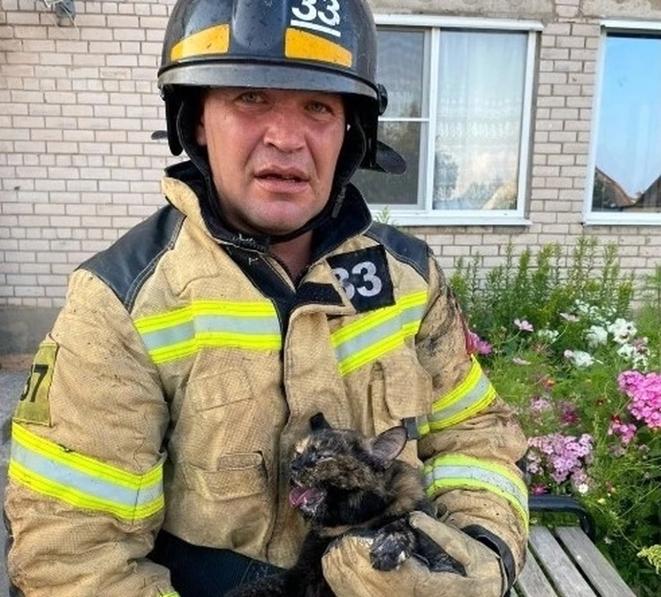 Дмитрий Левинский со спасенным животным.