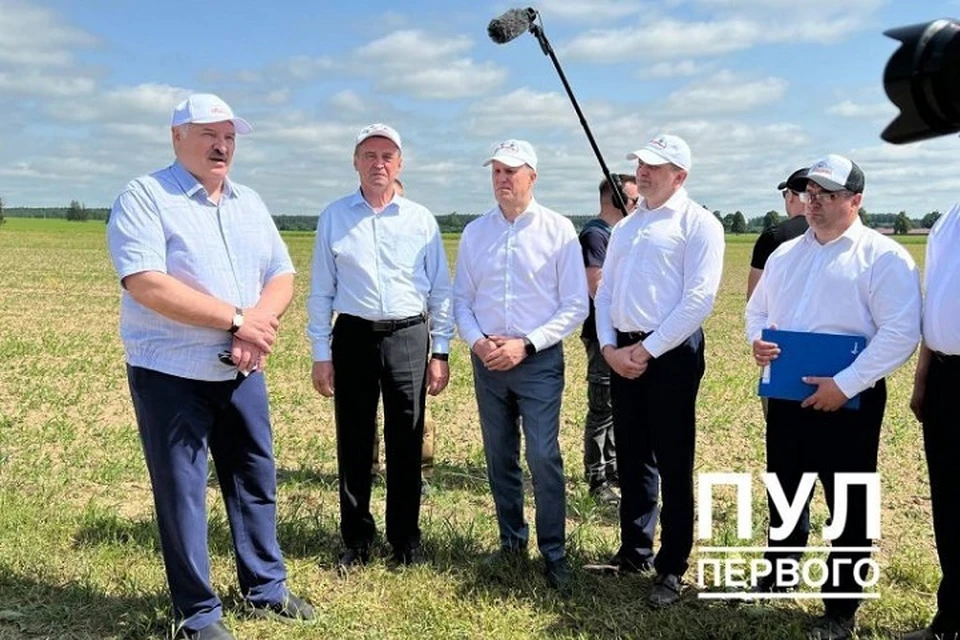 В поле Лукашенко бросает головной убор на колосья. Фото: телеграм-канал "Пул Первого"