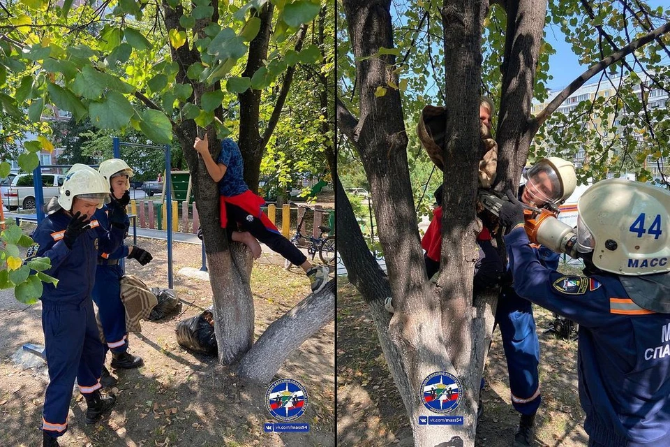 Спасатели оказали помощь мальчику, который застрял на дереве в Советском районе. Фото: спасатели МАСС