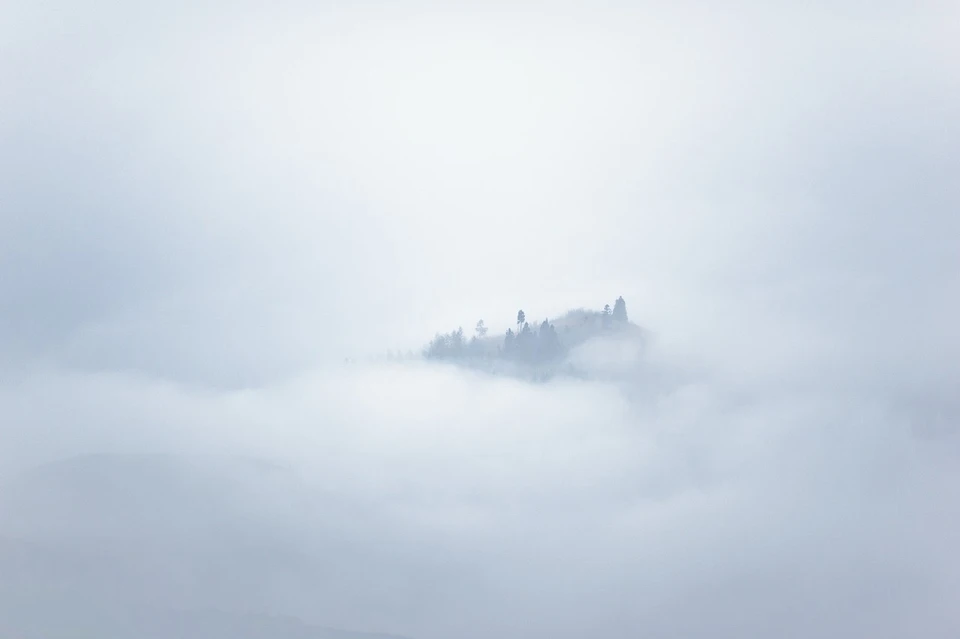 Фото: pexels.com
