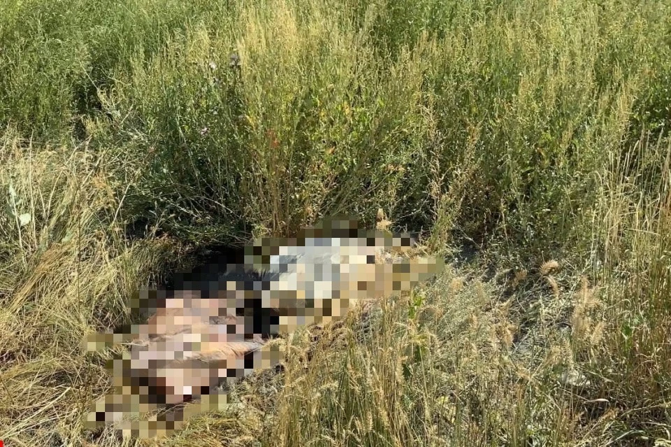 Предположительно – это труп мужчины без признаков насильственной смерти. Фото: Orsk.ru
