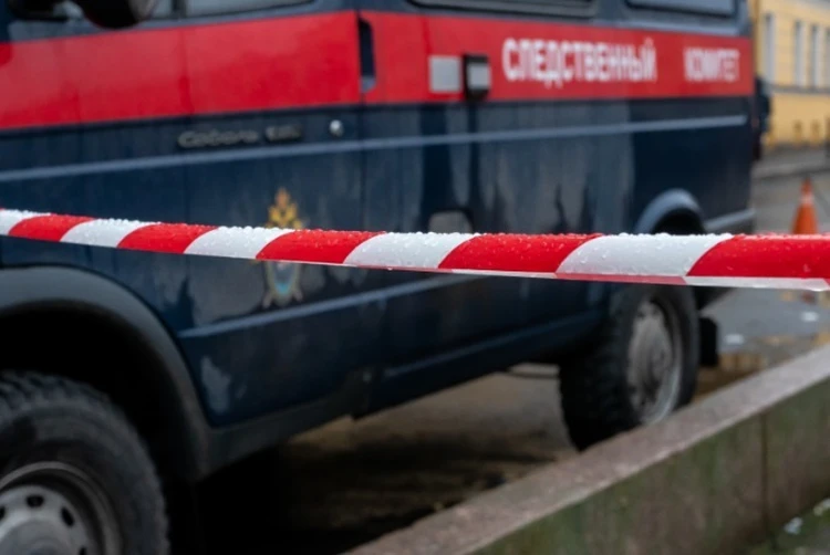 Тело могли подбросить: подробности гибели шестилетней девочки в Пермском крае