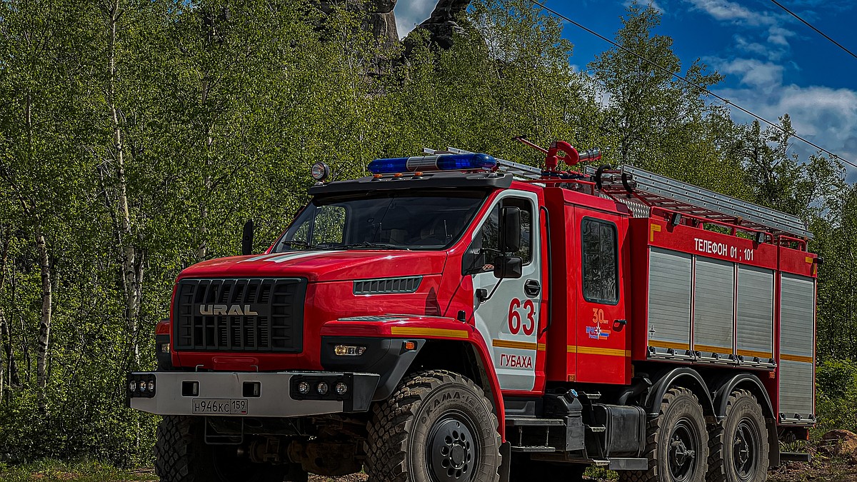 Техногенные и лесные пожары в Перми и Пермском крае 14 августа 2022: районы  и округа, погибшие, пожарная опасность - KP.RU