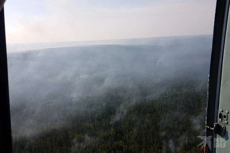 Лесные пожары в Рязанской области 2022: горят земли обороны, леса и заповедник