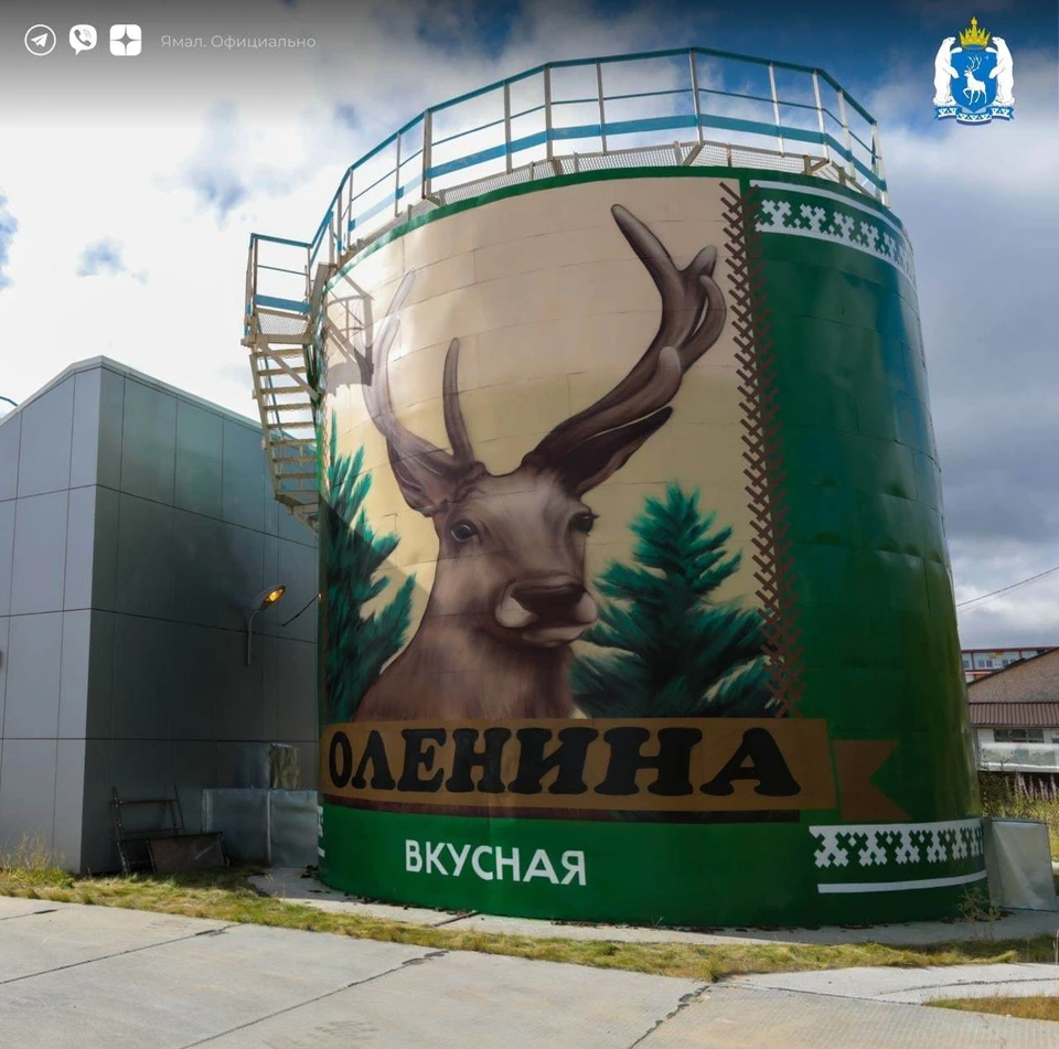 Фото: телеграм-канал "Ямал. Официально"