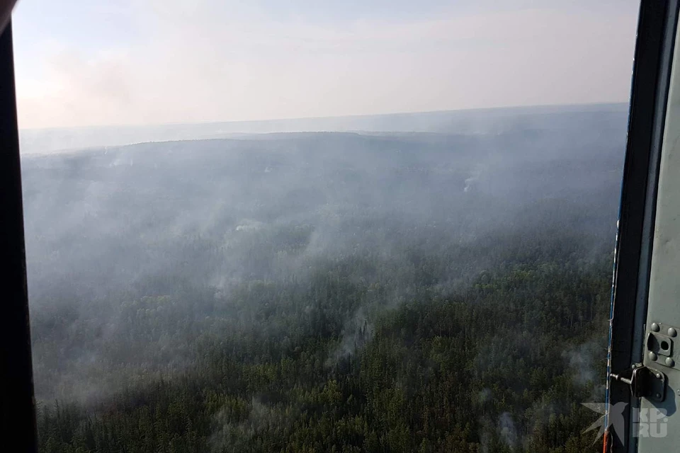 Лесные пожары в Рязанской области в августе 2022 года.