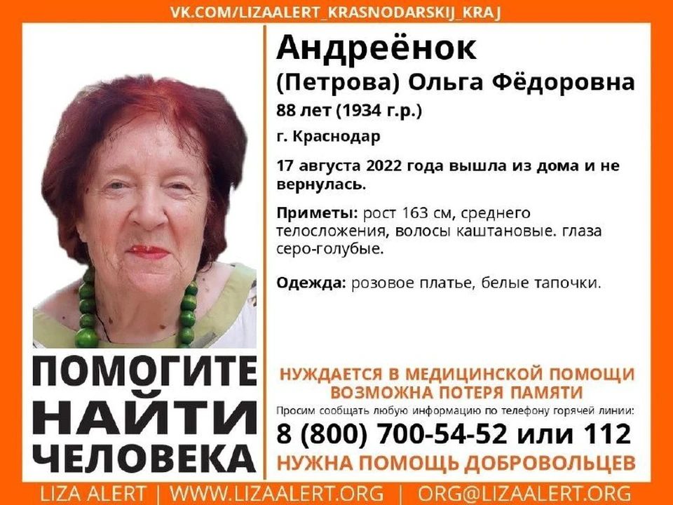 Семья целый день не знает, где находится 88-летняя пенсионерка. Фото: «Лиза Алерт».
