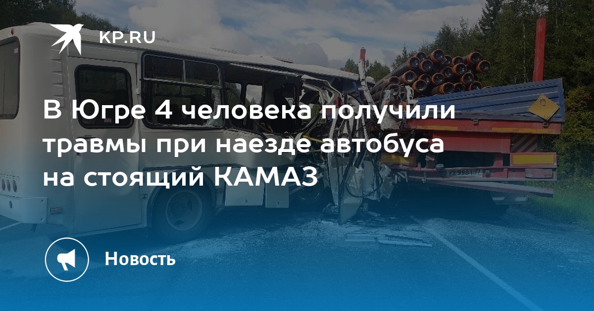 Тобольск ханты мансийск автобус. Медведи на трассе Тюмень Ханты Мансийск.