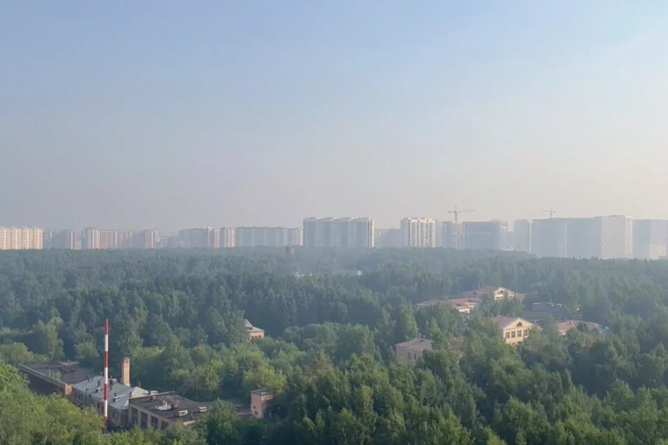 В Роспотребнадзоре пообещали каждый день проводить усиленный контроль за загрязнением воздуха до тех пор, пока ситуация не стабилизируется