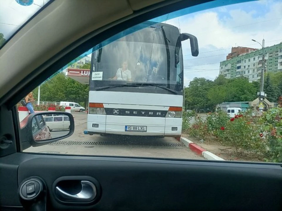 Водитель сбил собаку в Боровом, а хозяйка животного разбила его внедорожник - 