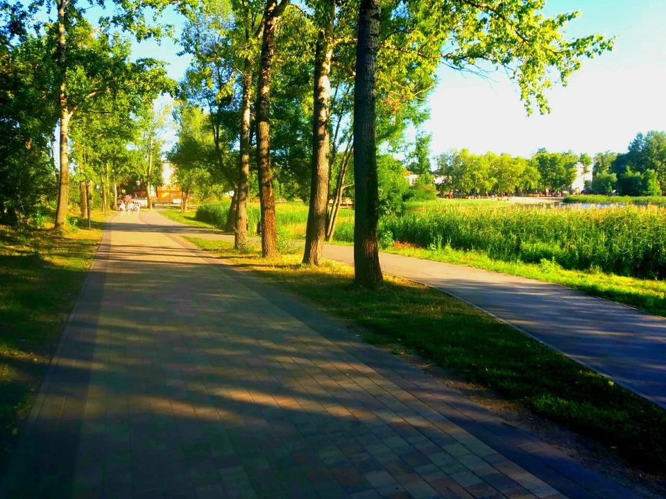 Опубликована программа Дня города в парках Нижнего Новгорода