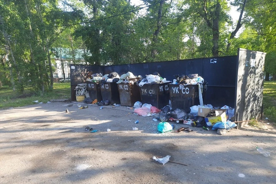 Прокуратура Хабаровска оштрафовала управляющую компанию за свалку мусора