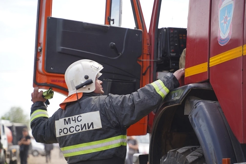 В Новосибирске из горящей квартиры пожарные спали мужчину и кота.