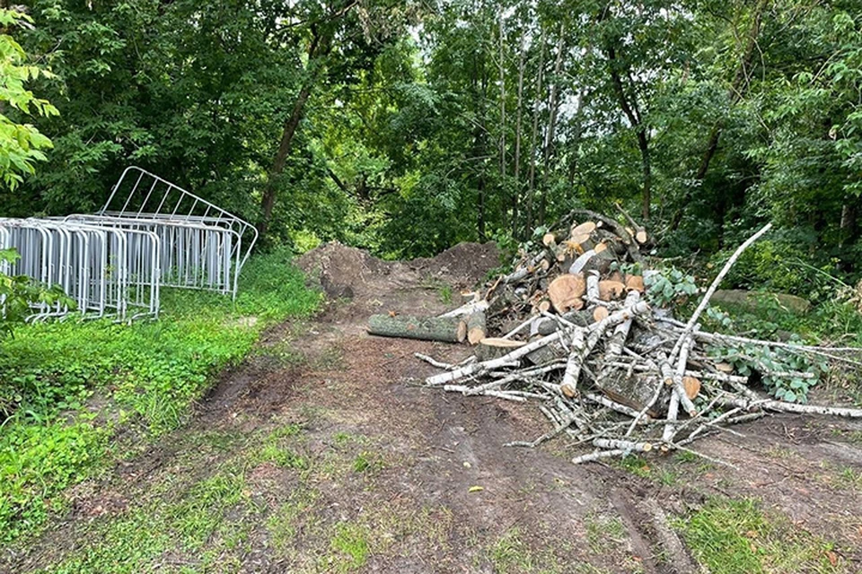 Фото: "Типичный Брянск".