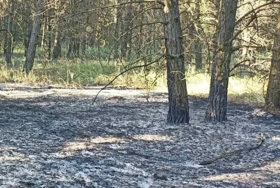 Фото с места пожара.