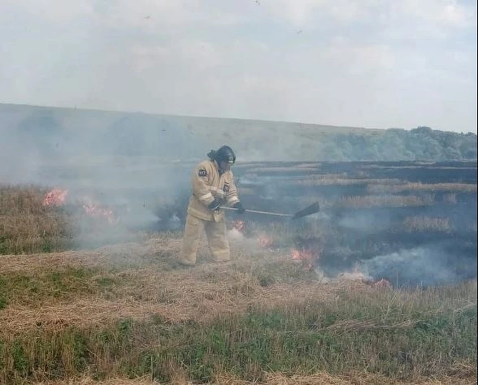 Случаи возгорания стерни и сухой травы участились, порой, они приводят к печальным последствиям