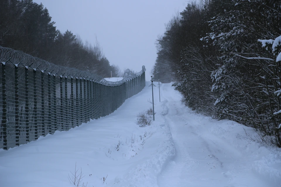 Литва закончила строительство заграждения на границе с Белоруссией