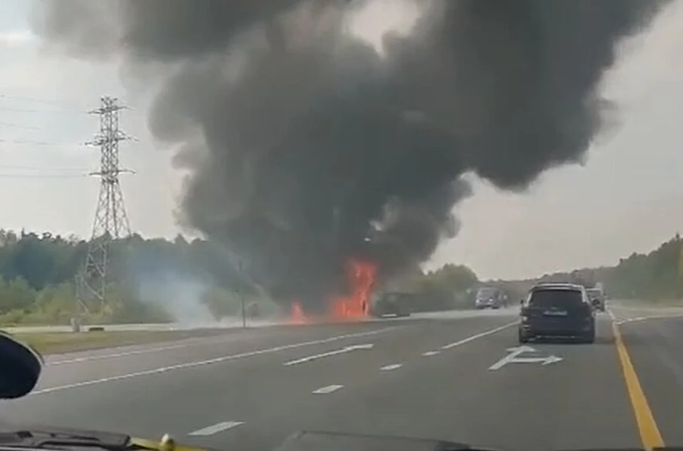 Фото: скриншот видео соцсети