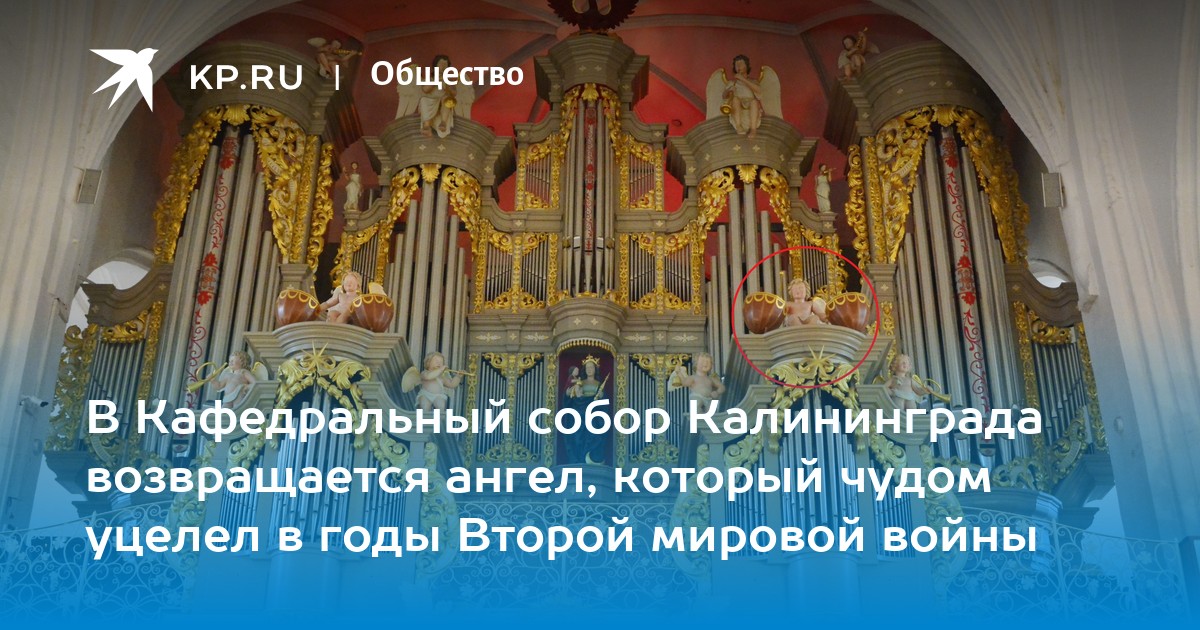 Кёнигсбергский кафедральный собор орган