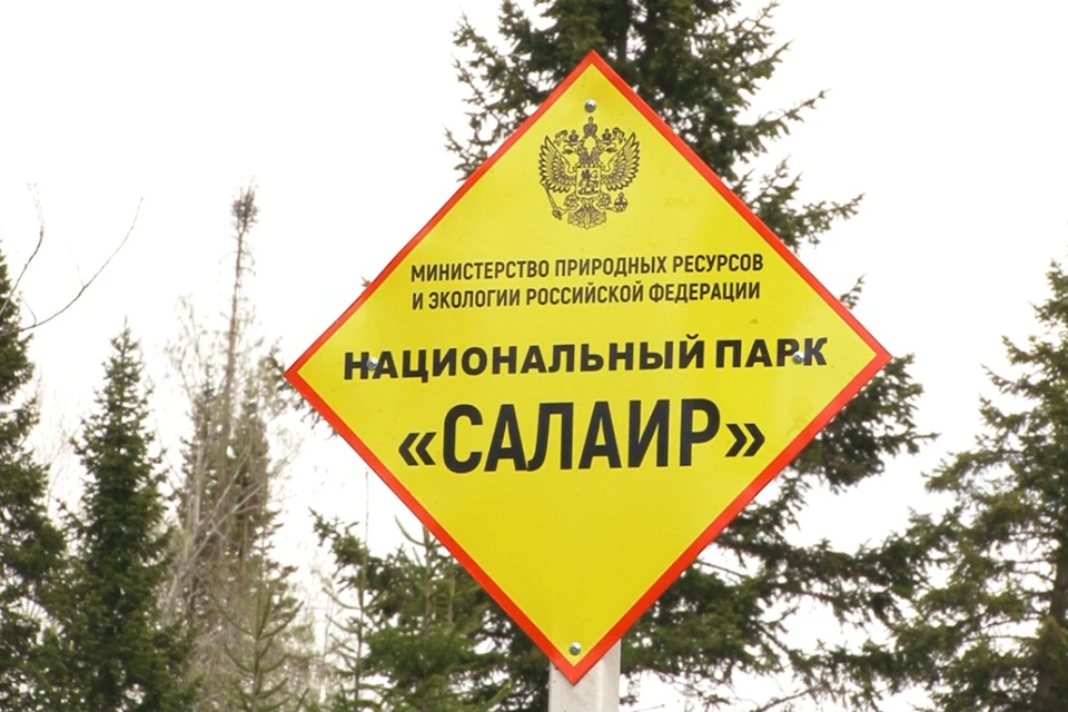 Скриншот видео телеканала "Толк"