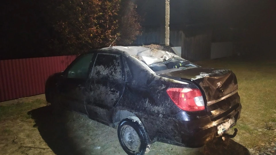 Фото: УГИБДД России по ХМАО-Югре