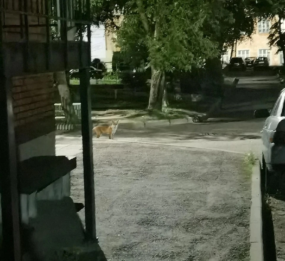 Фото: Юрий Петров