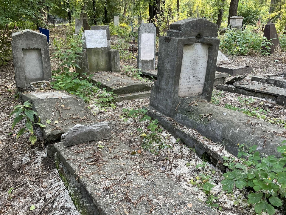 Кавезинское кладбище мусульманское. Кладбище курган. Губкинское городское кладбище. Нея кладбище. Мурмаши сравние с кладбища.