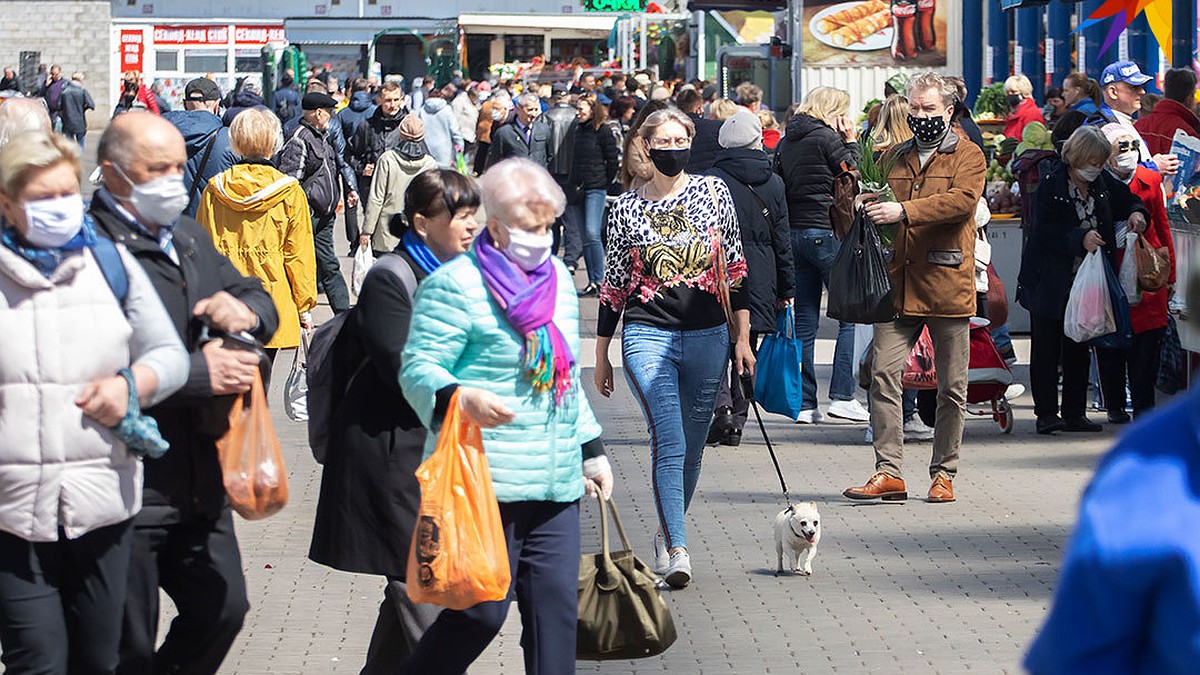 Работа в Беларуси, сентябрь 2022: самая высокая зарплата, вакансии,  популярные профессии - KP.RU