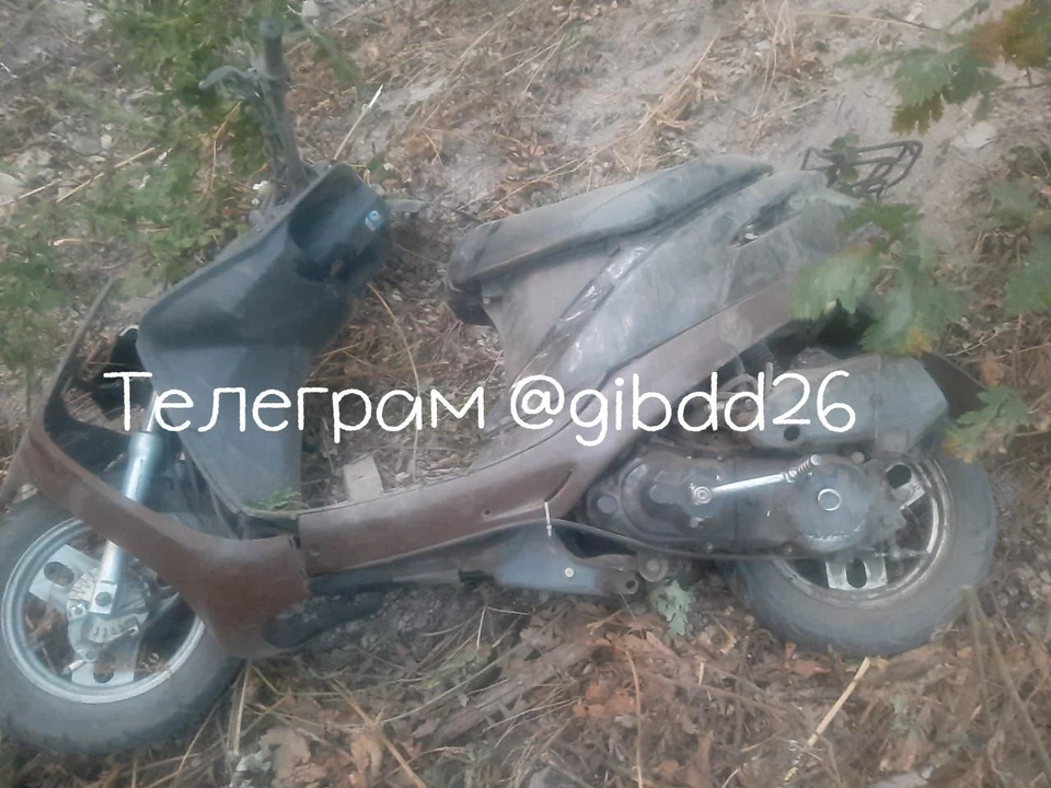 Фото: УГИБДД по СК