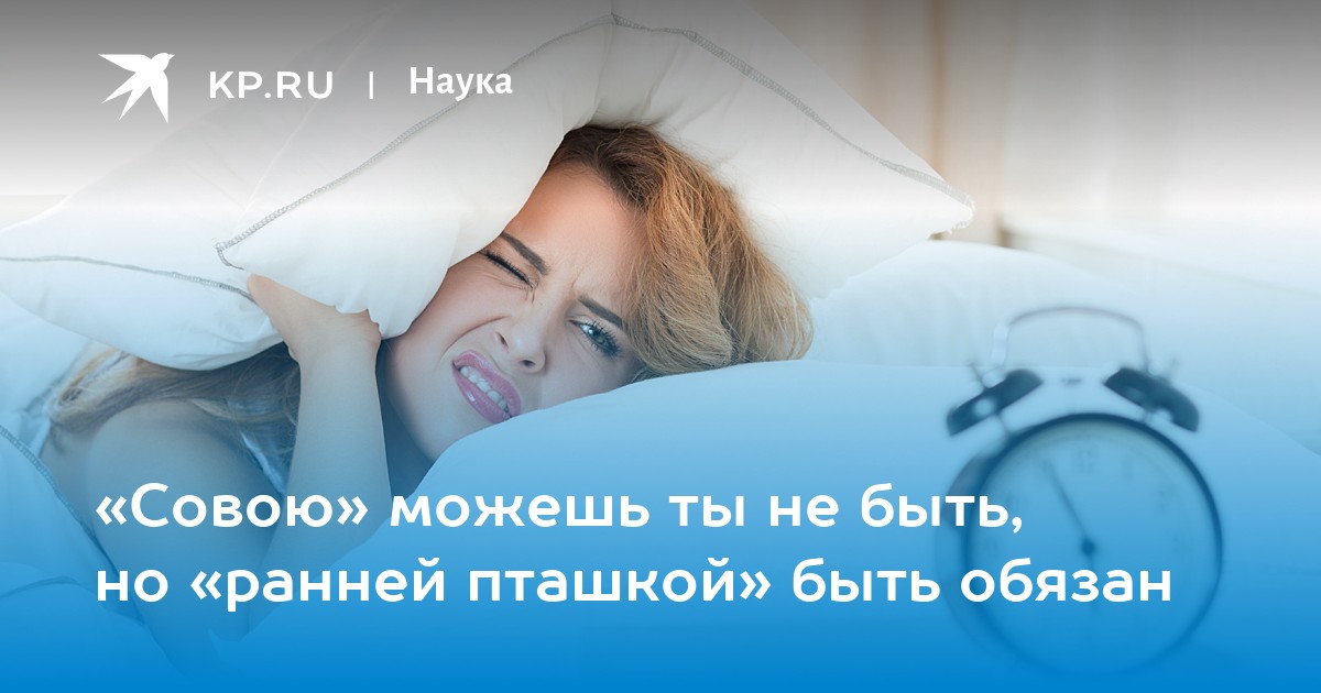«Совою» можешь ты не быть, но «ранней пташкой» быть обязан