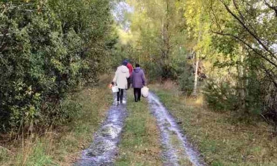 Пропавшую в лесу под Тюменью пенсионерку ищут девятый день. Фото - oblspas.org.