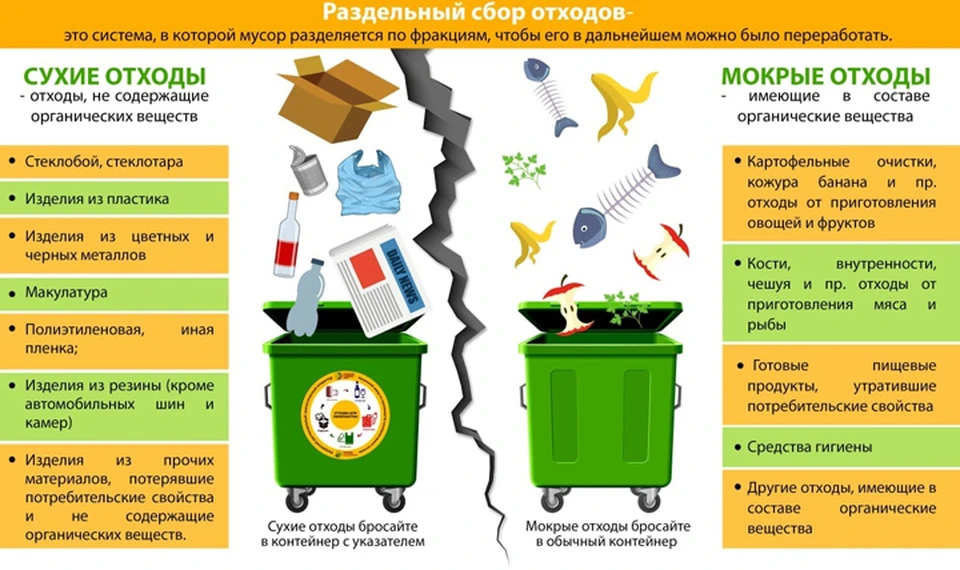 Проект может ли мусор быть полезным