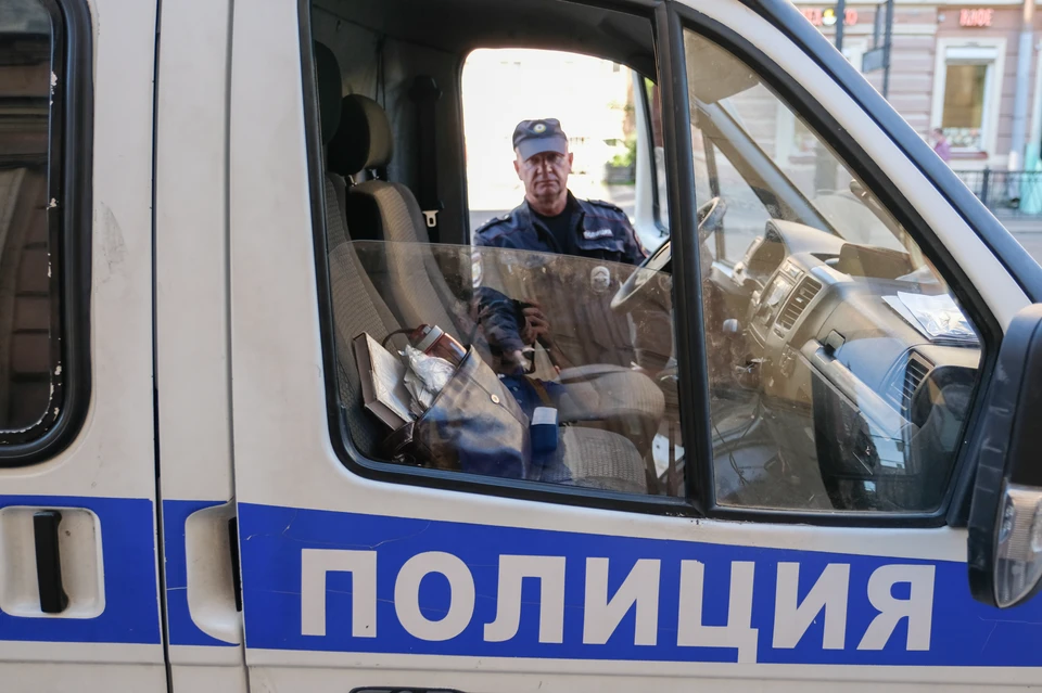 Убийство змеи, которая заползла в чужую квартиру, будет расследовать полиция Петербурга