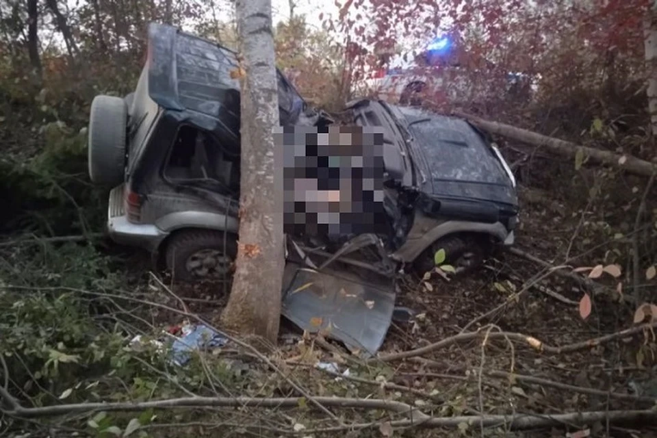 Водитель разбился насмерть после столкновения с деревом Фото: УГИБДД по Хабаровскому краю