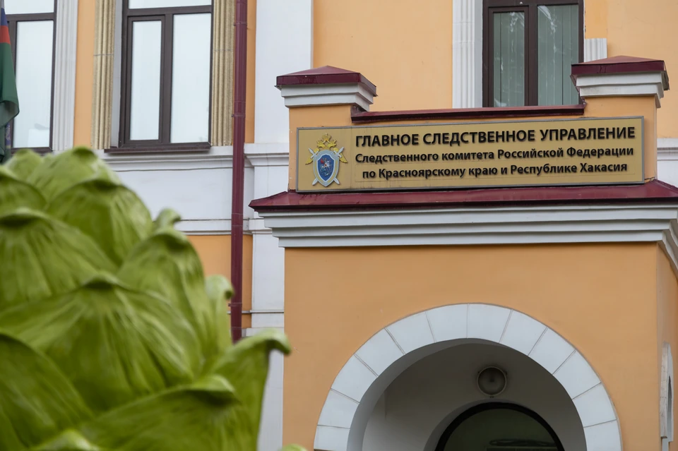 В Красноярском крае 12-летний мальчик случайно застрелил из ружья 14-летнего приятеля