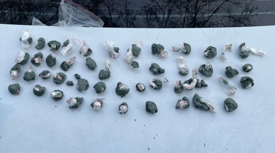 Фото: ГУ МВД по Кемеровской области.