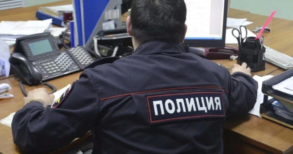 Злоумышленницу задержали ульяновские полицейские
