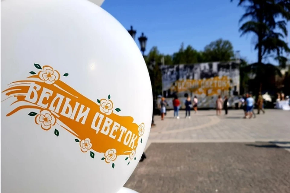 Благотворительная акция "Белый цветок" проходит в Крыму ежегодно в последнюю субботу сентября