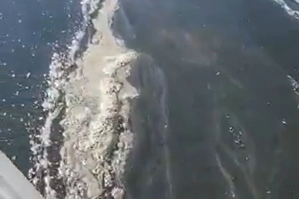 Сибиряки пожаловались на загрязненную воду в Новосибирском водохранилище. Фото: стоп-кадр из видео Юлии Ефремовой