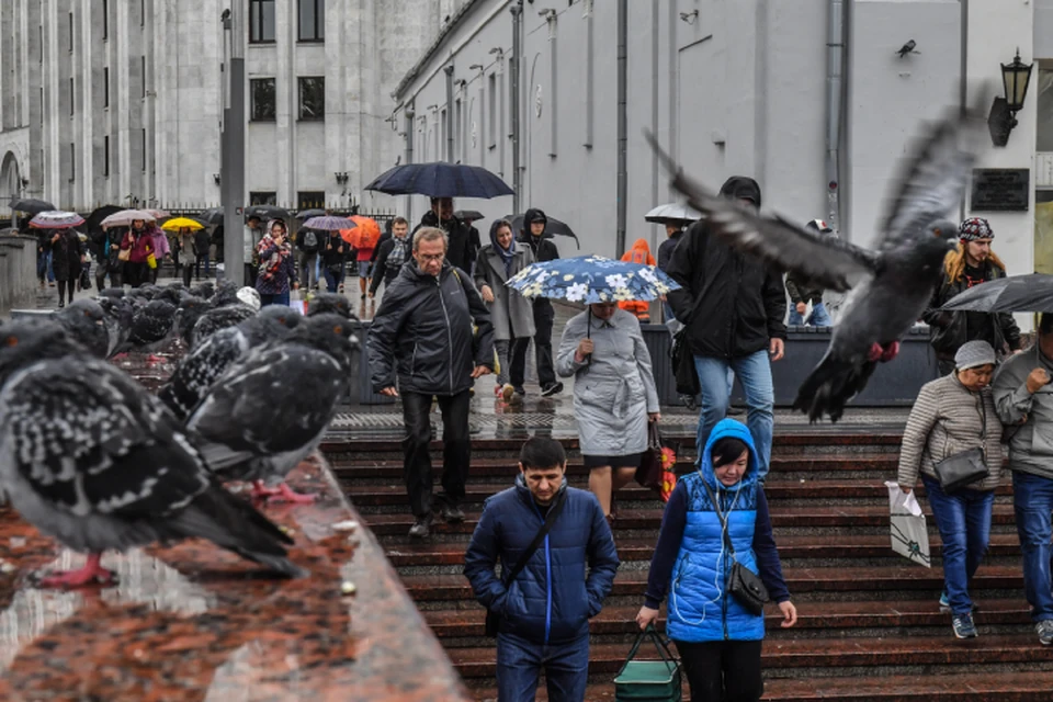 Температура днем будет до +5 градусов, а в ночные часы может опускаться до нуля.