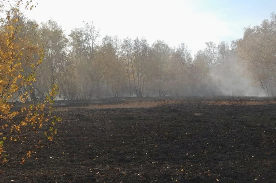 Фото: пресс-служба ГУЛХ Омской области.