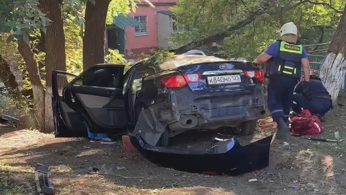 В Находке водитель сбил на тротуаре десятилетнюю девочку, ребенок скончался  на месте - KP.RU