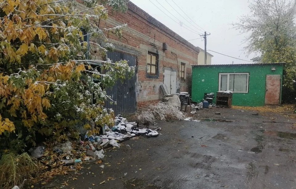 Фото: пресс-служба УМВД России по Омской области.