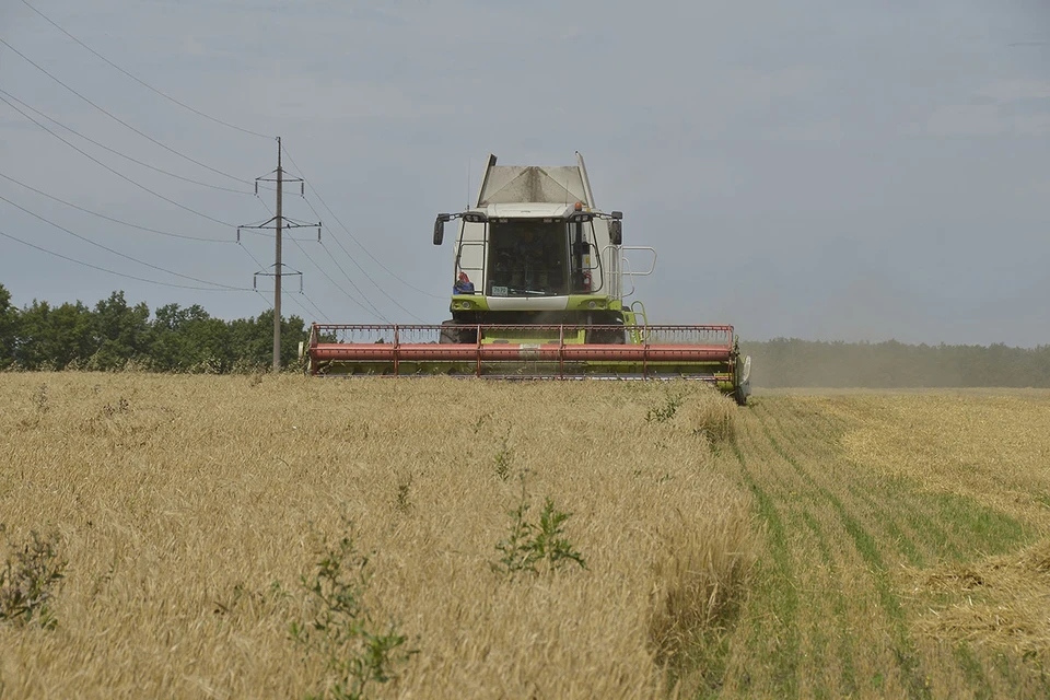 Эксперт по аграрному рынку заявил о колоссальном урожае в России в 2022 году