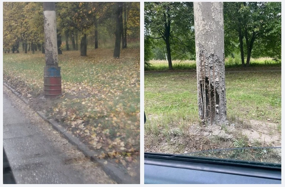 Фото: ЧП Кострома
