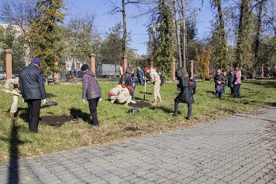 Акция «Подари ребенку дерево» прошла в Хабаровске
