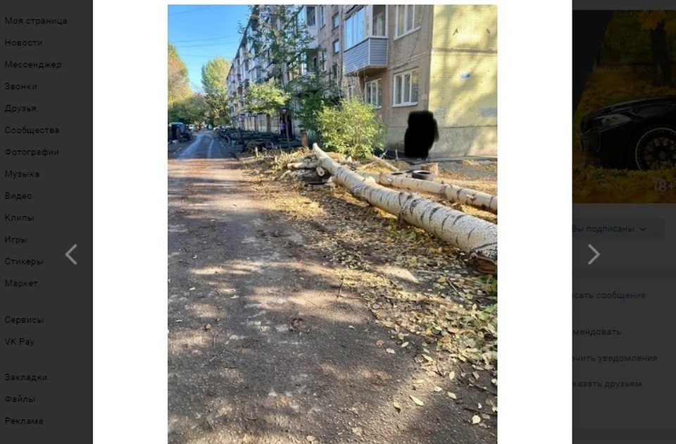 Фото: скриншот с паблика "Barnaul22"