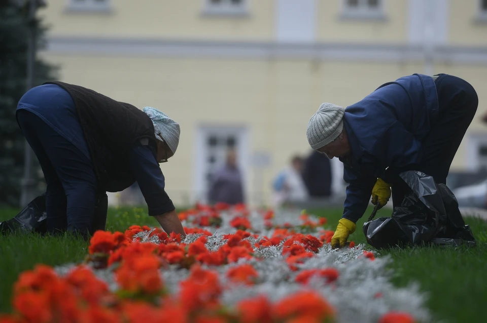 Около 150 саженцев высадили на проспекте Ленина, рядом с музеем ИЗО и в Театральном сквере