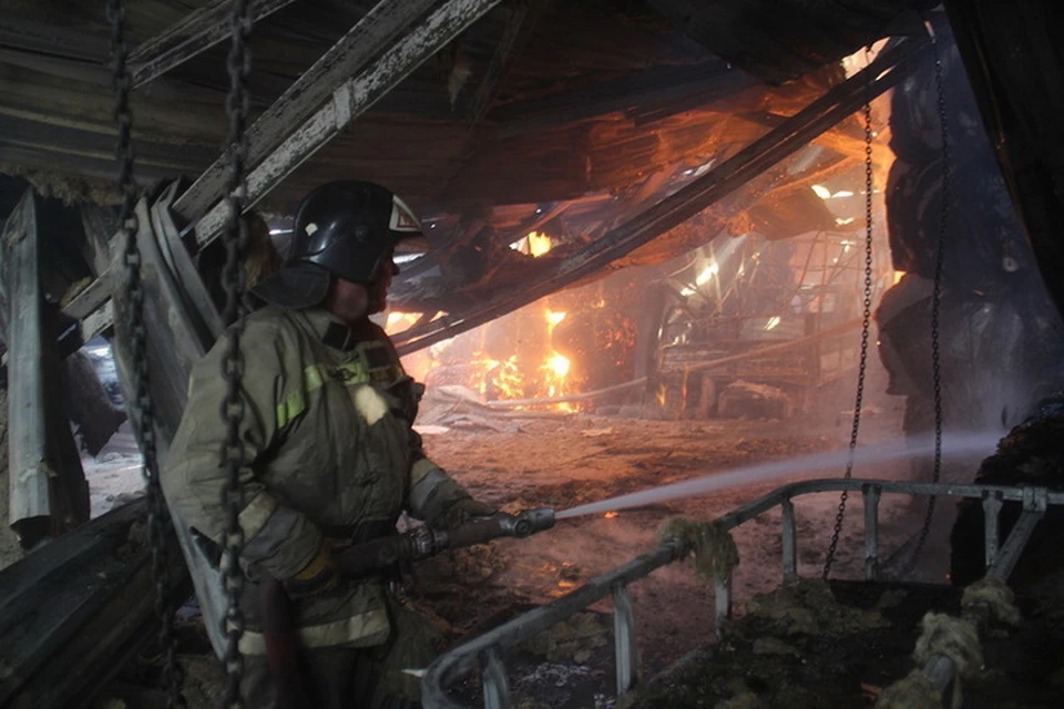Пожарные с риском для жизни тушили огонь внутри здания. Фото: МЧС ДНР