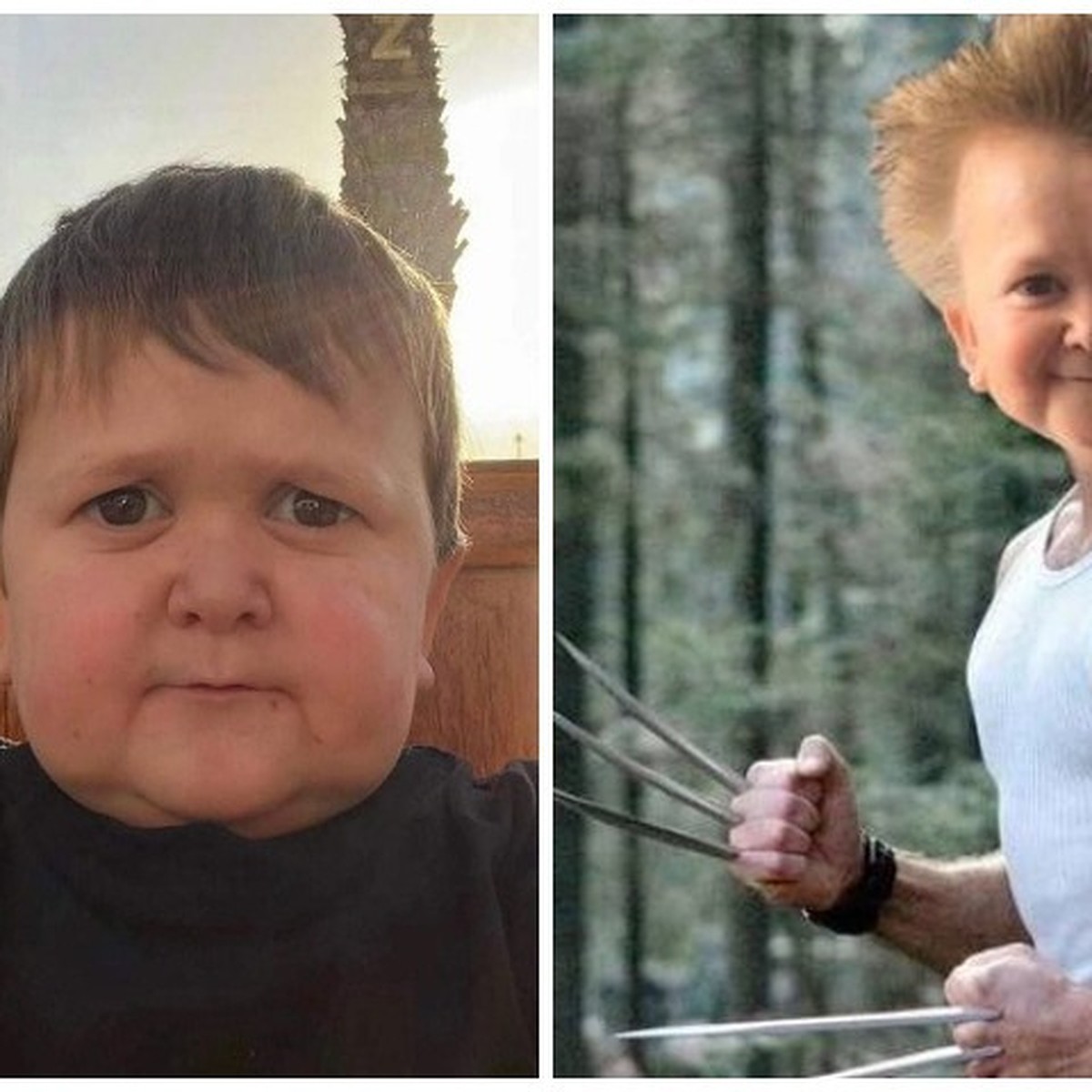 Хасбик в детстве. Хасбик лайк. Включи покажи бомбовые прически. Хазбик сколько лет. Хасбик с волосами.